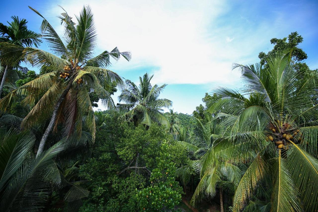 Homejay Residancies Unawatuna Exterior photo